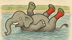 Vtip: Proč si slon vzal zelené ponožky?